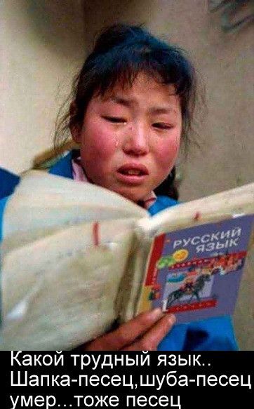 и акои трудныи язык Шапка песецшуба песец