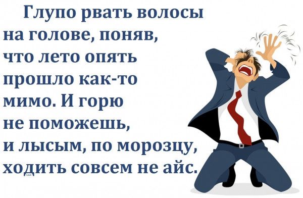 Глупо рвать волосы на голове поняв что лето опять прошло как то мимо и горю не поможешь и лысым по морозцу ходить совсем не айс