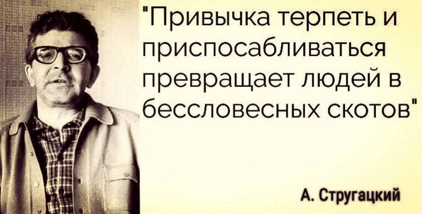 Привычка терпеть и приспосабливаться превращает людей в бессловесных СКОТОВ Стиг ММ