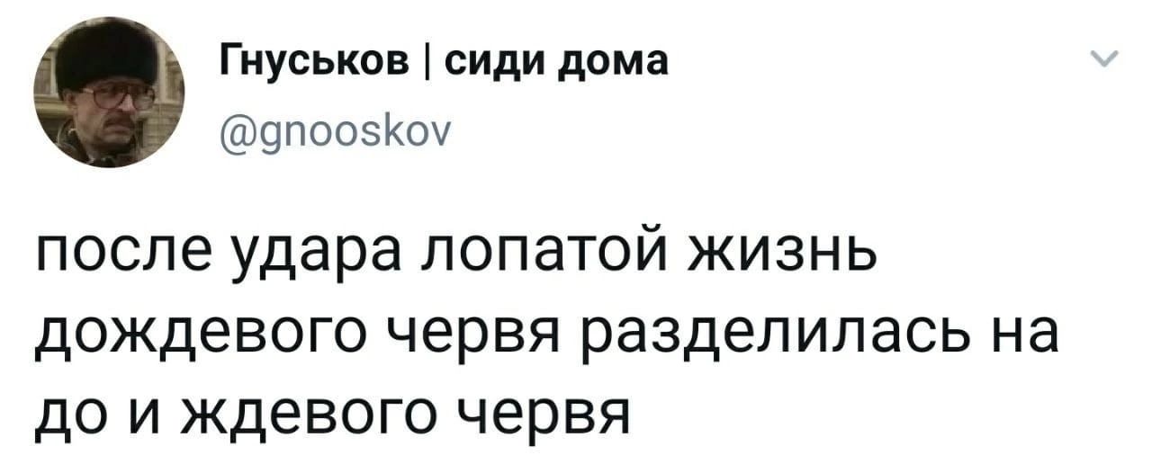 Гиуськов сиди дома поозкоч после удара лопатой жизнь дождевого червя разделилась на до и ждевого червя