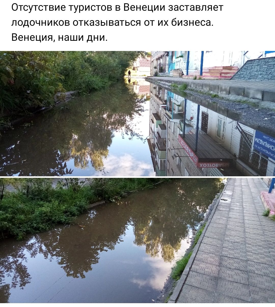Отсутствие туриста в Венеции заставляет подочников отказываться от их бизнеса Венеция наши дни
