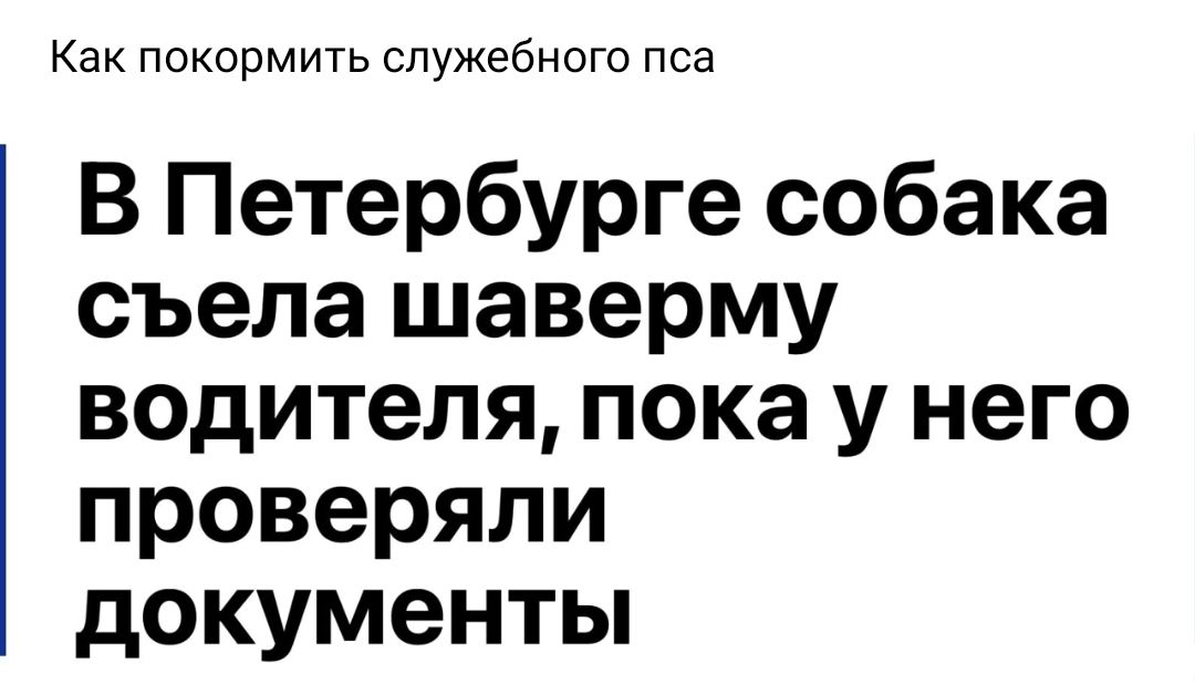 Как покормить служебного пса В Петербурге собака съела шаверму водителя пока У него проверяли документы