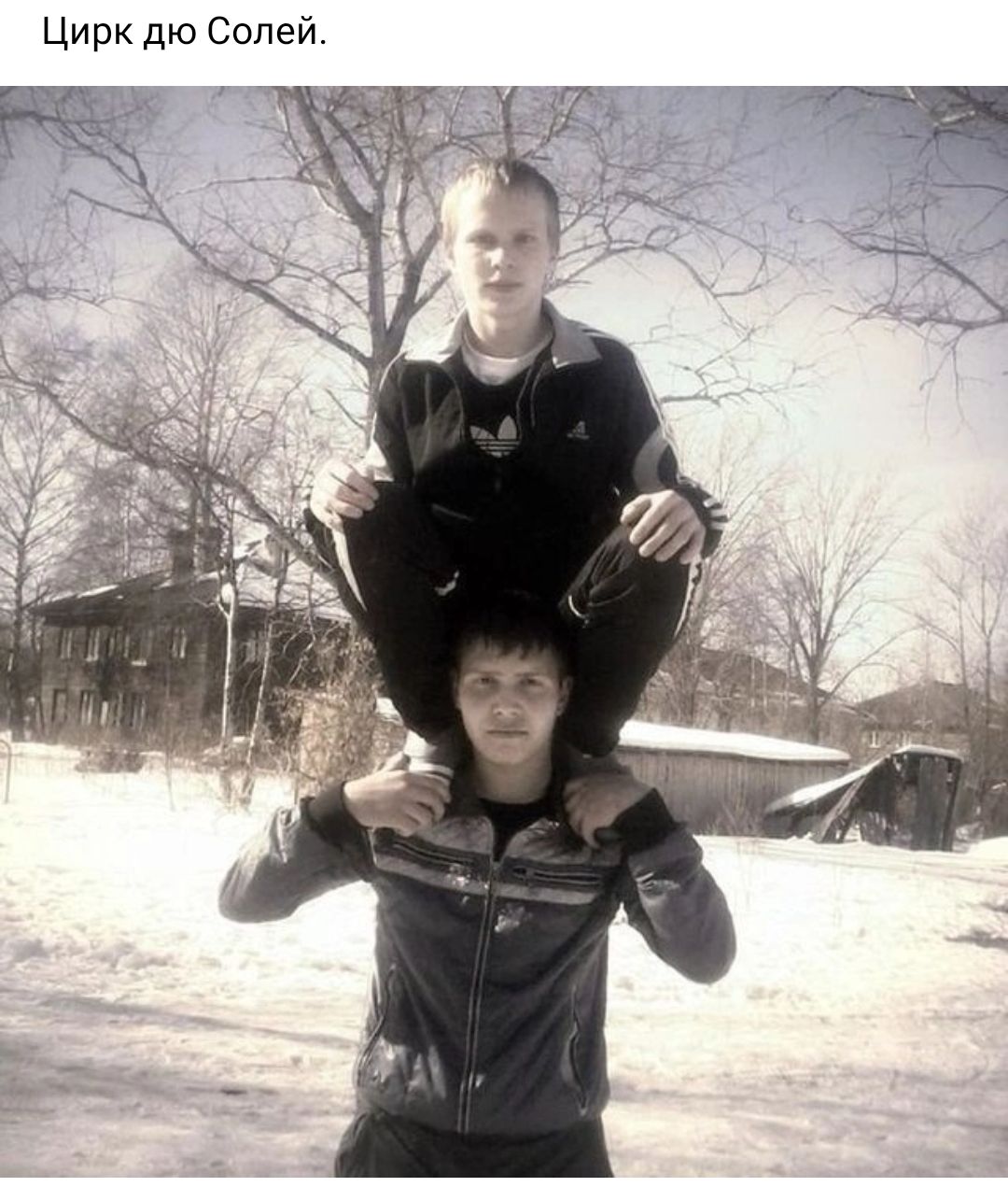 Цирк дю солей