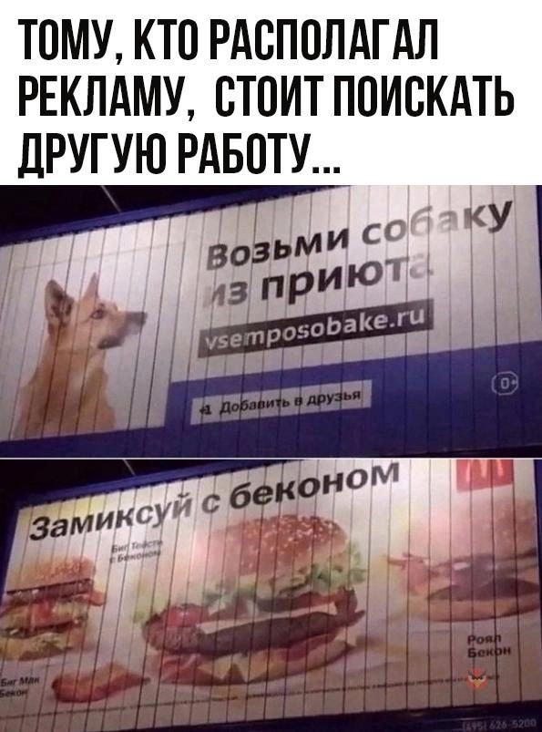 ТОМУ КТВ РАЕППЛАГАЛ РЕКЛАМУ СТОИТ П0ИБКАТЬ дРУГУЮ РАБОТУ