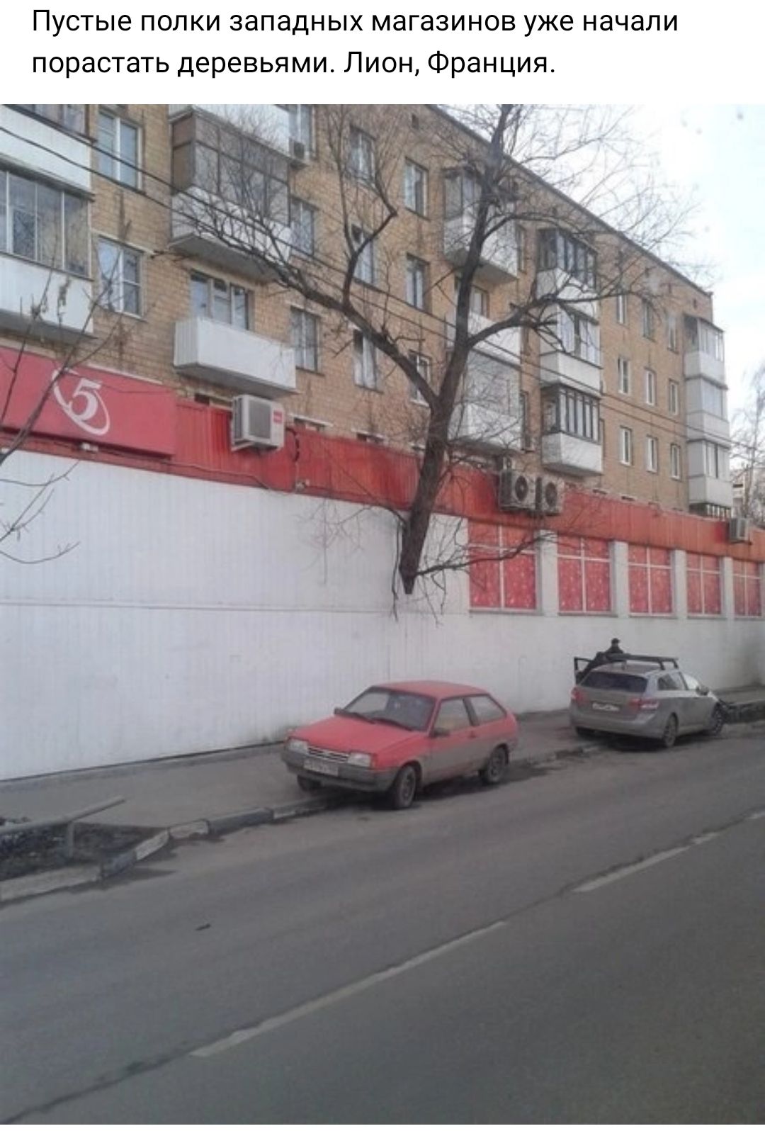 Пустые попки западных магазинов уже начали порастать деревьями Лион Франция