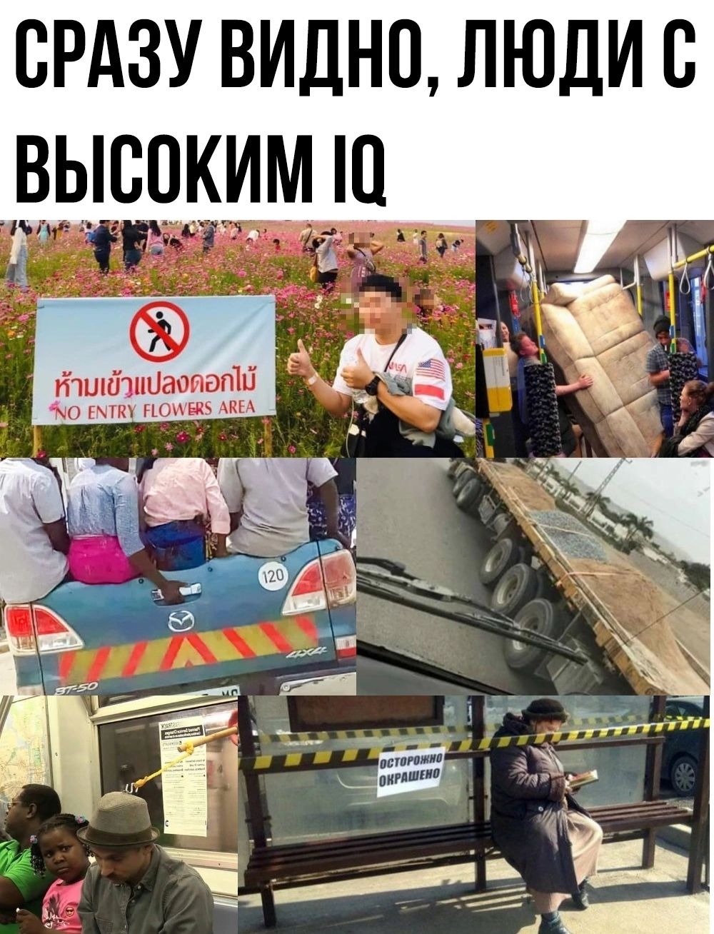 СРАЗУ ВИДНО ЛЮДИ С ВЫСОКИМ