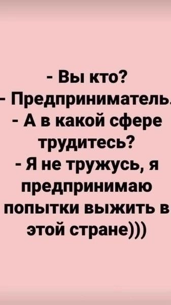 Вы кто Предприниматель А в какой сфере трудитесь Я не тружусь я предпринимаю попытки выжить в этой стране