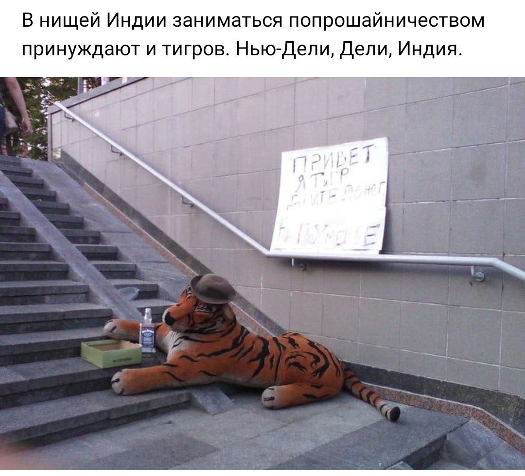 в нищей Индии заниматься попрошайничеством принуждают и тигров Ньюдепи депи Индия