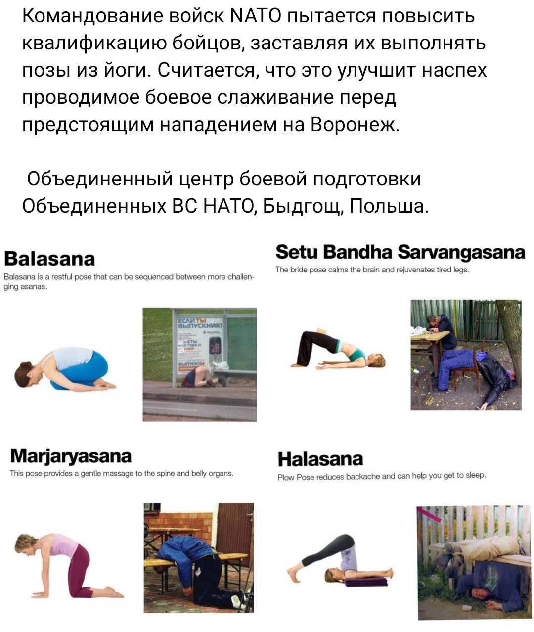 Командование войск НАТО пытается повысить квалификацию бойцов заставляя их выполнять позы из йоги Считается что то улучшит наспех проводимое боевое спаживание перед предстоящим нападением на Воронеж Объединенный центр боевой подготовки Объединенных вс НАТО Быдгощ Польша выдам Зет ватин Земляника ЁЁАм Магіагуазапв Неіаапа Т 4 Б