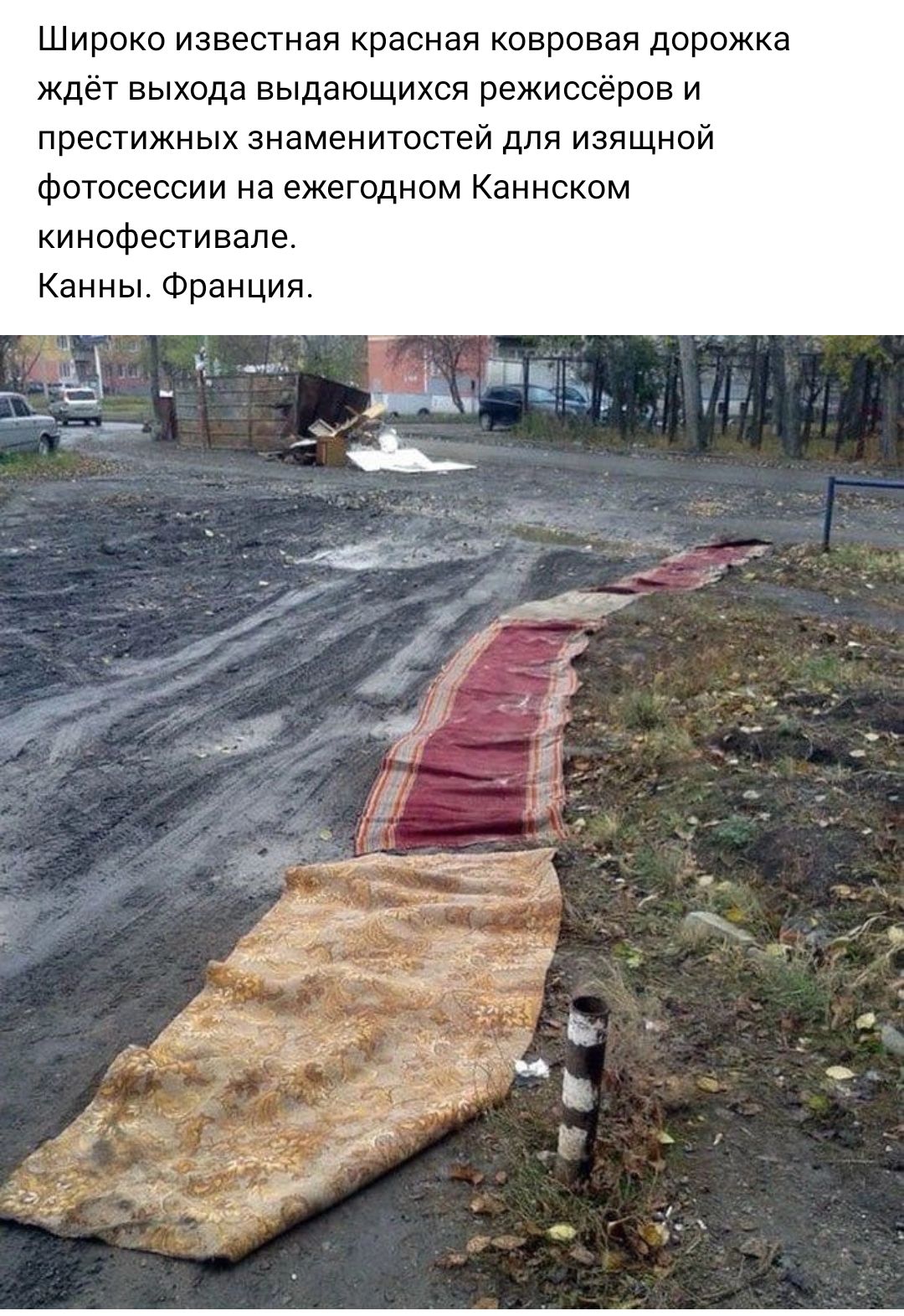 Широко известная красная ковровая дорожка ждёт выхода выдающихся режиссёров и престижных зиамениюстей для изящной Фотосессии на ежегодном Каннском кинофестивале Канны Франция