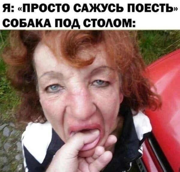 Я ПРОСТО ОАЮСЬ ПОЕСТЬ СОБАКА ПОА ОТОАОМ