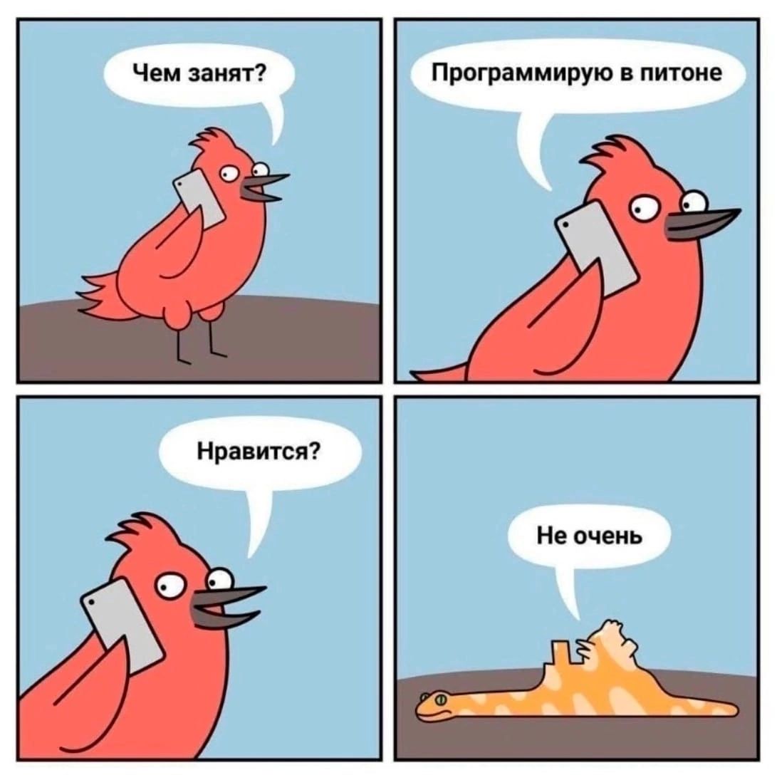 Чем зани Программирую шви Нравтси Не очень