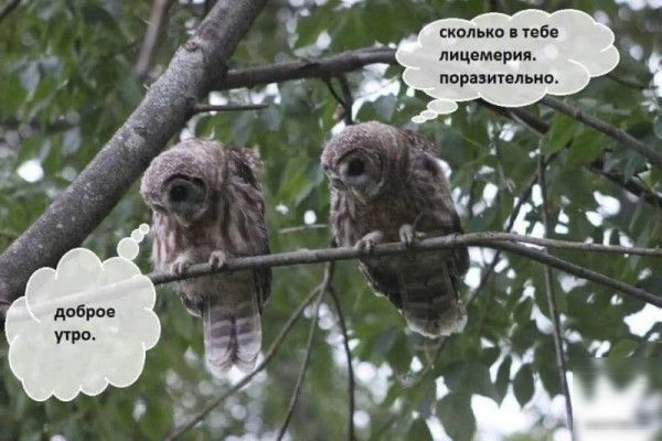 м о