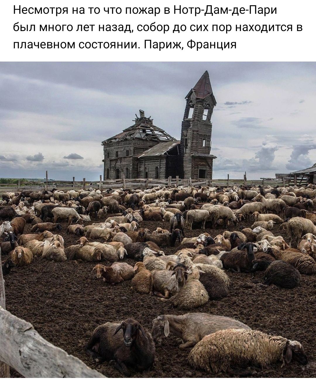 Несматря на то что пожар в Нотргдамдегпари был много лет назад собор до син пор находится в плачевном состоянии Париж Франция
