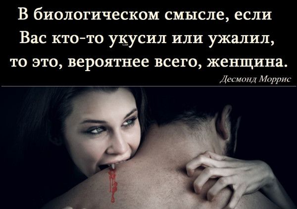 В биологическом смысле если Вас ктото укусил или ужалил то это вероятнее всего женщина вк Мар