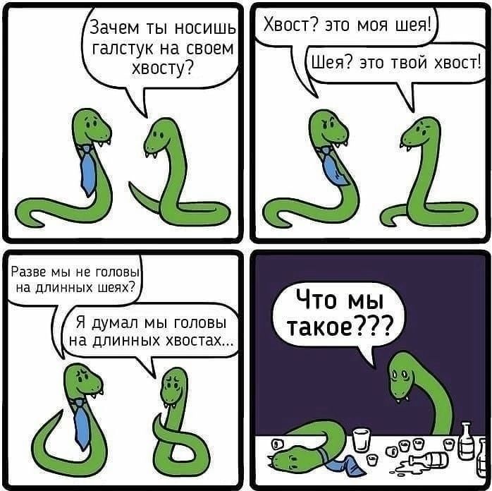 Зачем ты носишь галстук на своем хвосту я думал мы гппшны на дпиниых хвостах Хавс эш мия шея Ша 7 эт твои нсуст Что мы такое