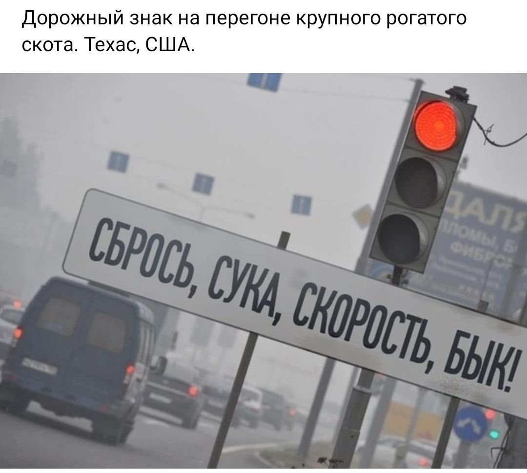 дорожный знак на перегоне крупного рогатого скота Техас США