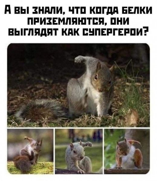 П ВЫ ЗНМИ ЧТП КПГдд ЕЕПКИ ПРИЗЕМЛПШТПП ПНИ ВЫГППдПТ КАК ПНПЕРГЕРПИ