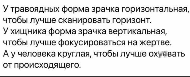 У травоядных Форма зрачка горизонтальная ЧТОБЫ лучше сканировать ГОРИЗОНТ У хищника Форма зрачка вертикальная чтобы лучше фокусироваться на жертве А у человека круглая чтобы лучше охтпвать ОТ ПРОИСХОДЯЩЕГО