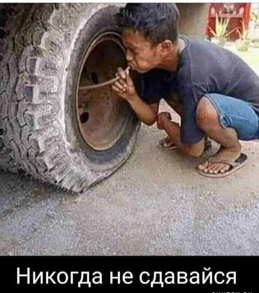 Никогда не сдавайся