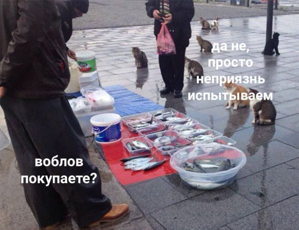 Ъ покупаете