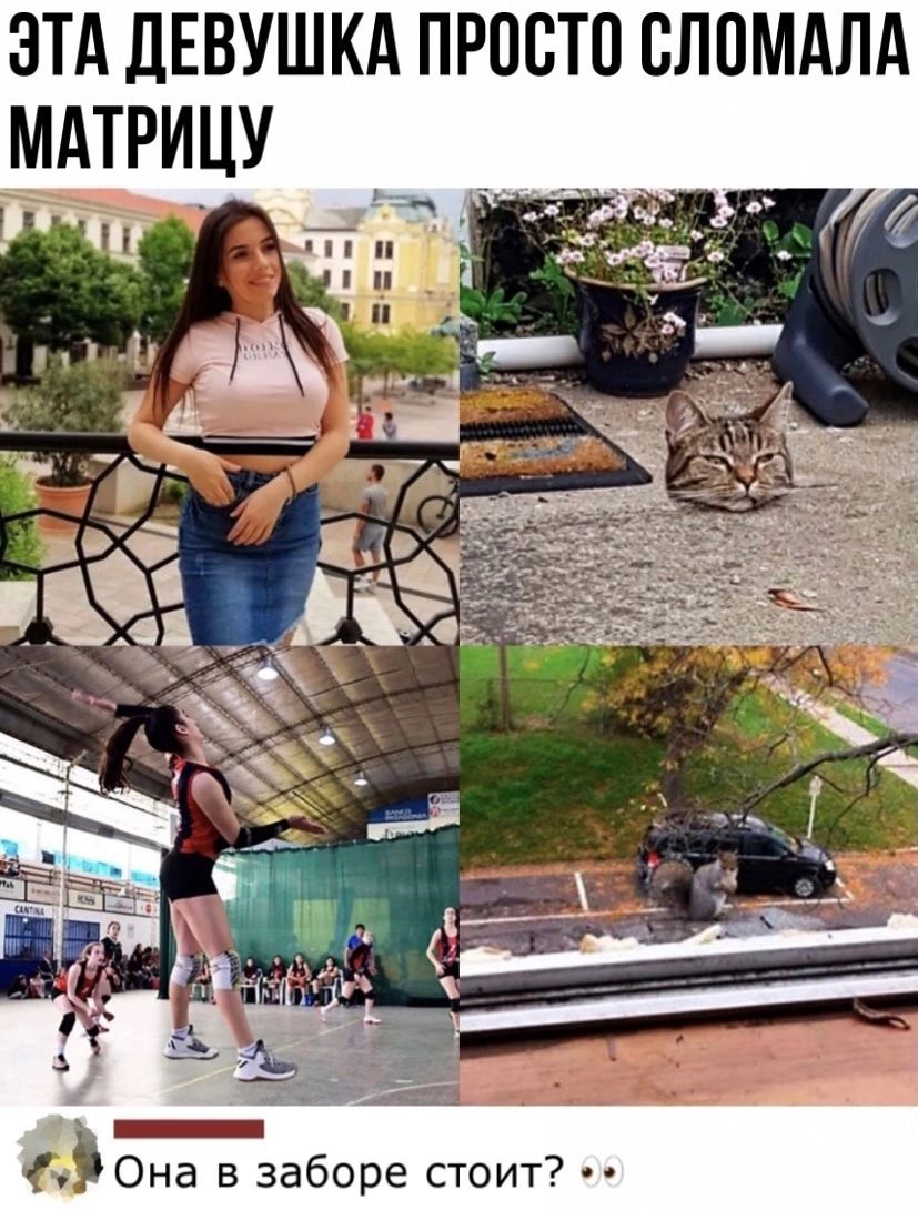 ЭТА ЛЕВУШКА ПРОСТО СЛОМАЛА МАТРИЦУ 7 _ 7 Она в заборе стоит