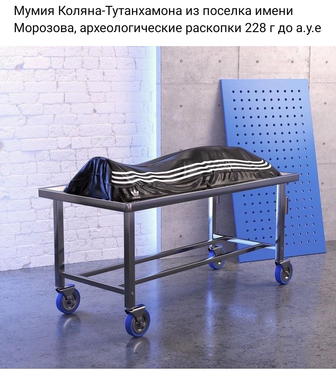 Мумия Коляна Туганхамона из поселка имени Морозова археологические раскопки 228 г до в уе