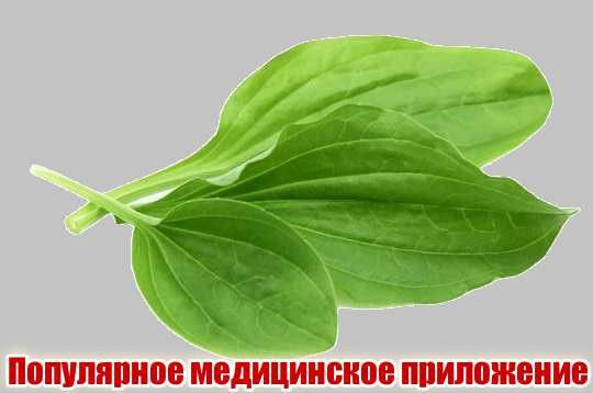 ПШМШЮО МОДИЦИИЁИОО ММПИИВ
