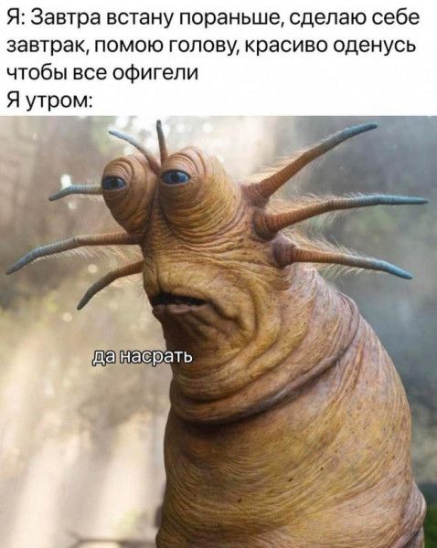 Я Завтра встану пораньше сделаю себе завтрак помою голову красиво оденусь чтобы все офигели Я утром