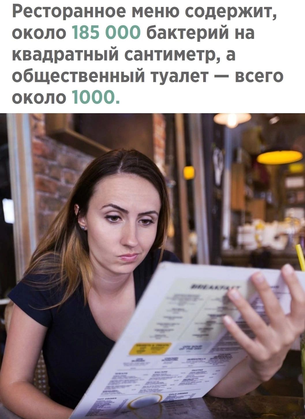 Ресторанное меню содержит около бактерий на квадратный сантиметр а общественный туалет всего ОКОЛО