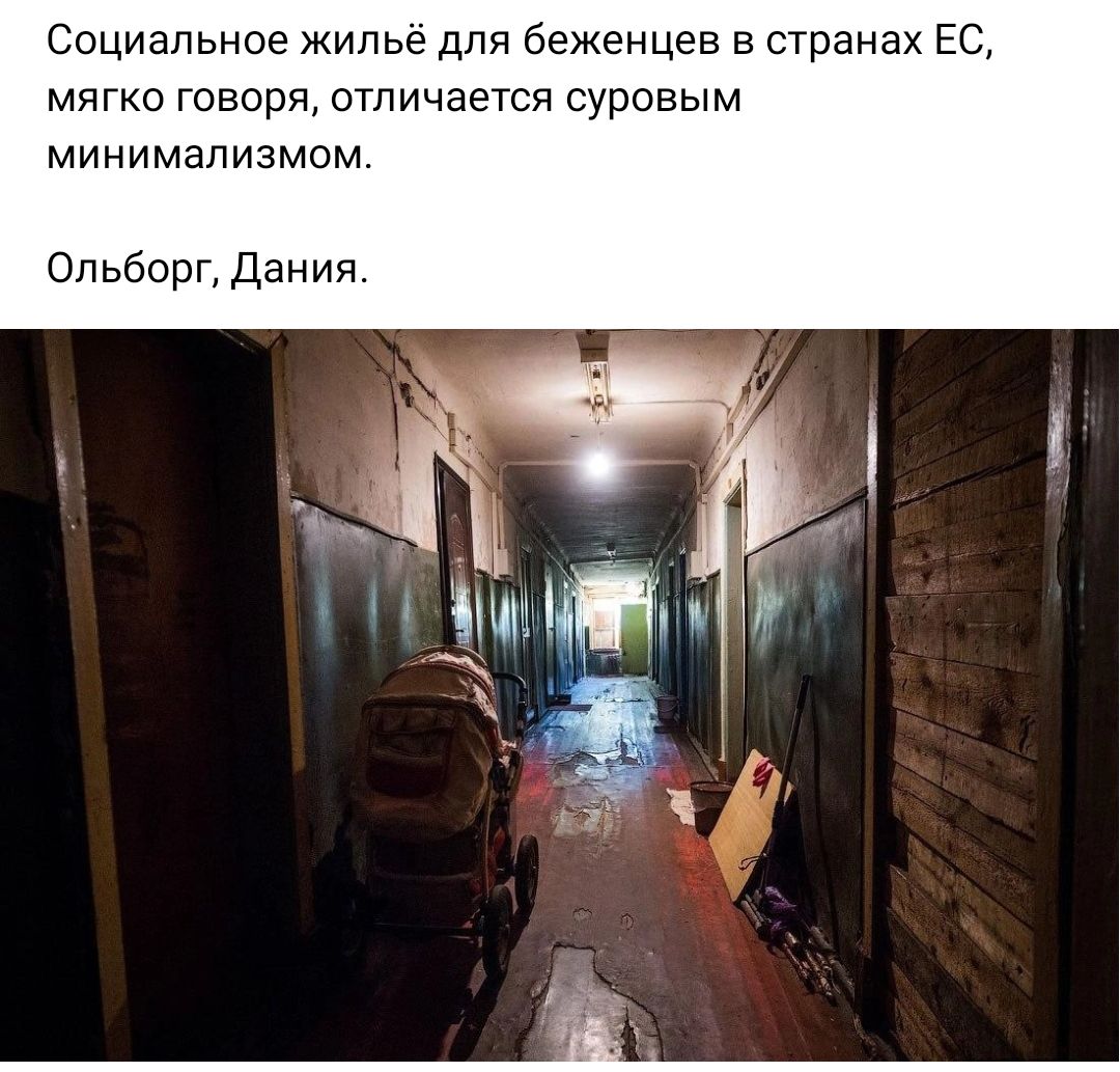 Социальное жилье для беженцев в странах Е мягко говоря отличается суровым минимализмом Ольборг Дания