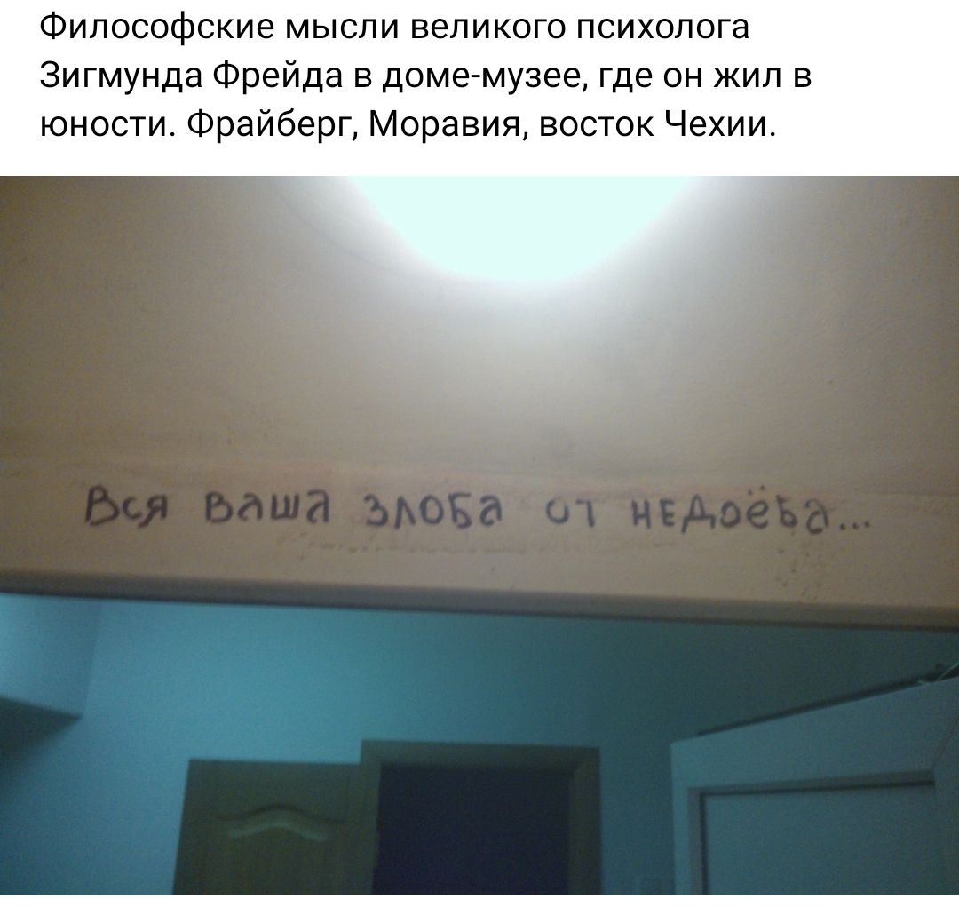 Философские мысли великого психолога Зигмунда Фрейда в домемузее где он жил в юности Фрайберг Моравия восток Чехии