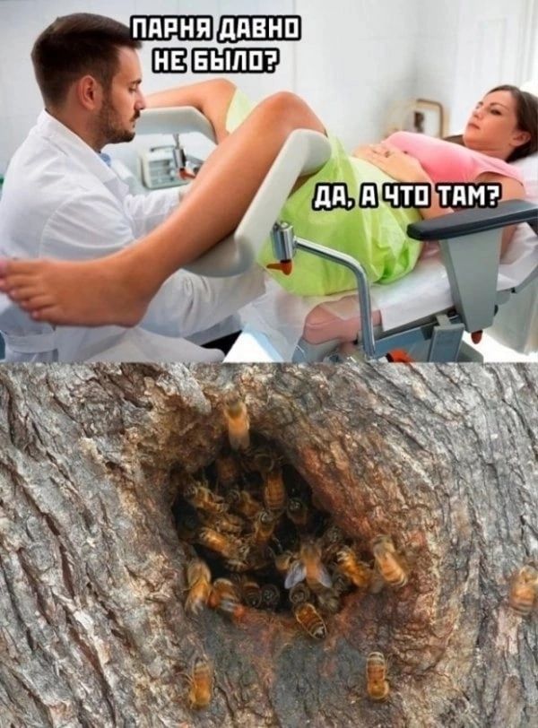 ддЕНП