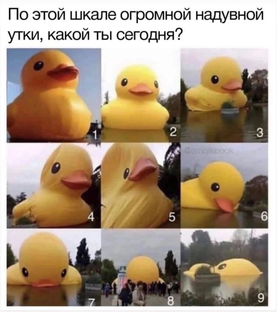 По этой шкале огромной надувной утки какой ты сегодня