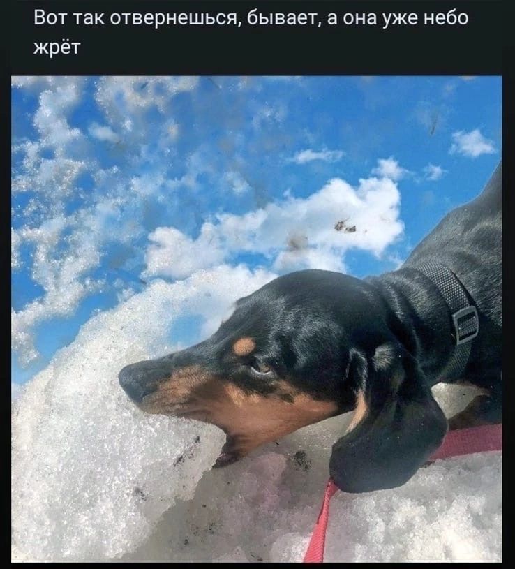 Вот так отвернешься бывает а она уже небо жрёт