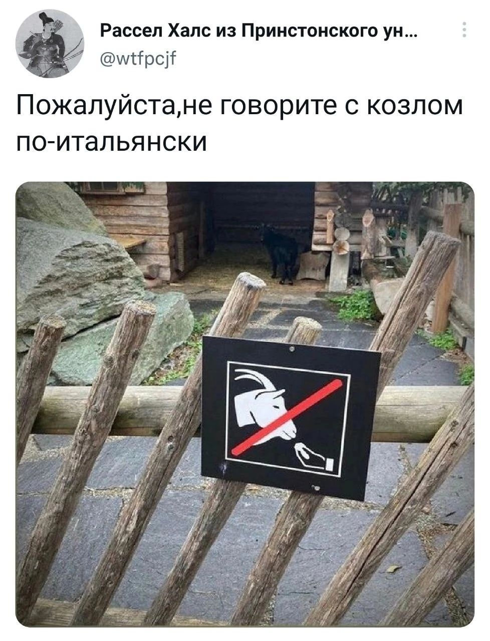 Рассел Халс из Прииствиского ук мгрсн Пожалуйстане говорите с козлом по итапьянски
