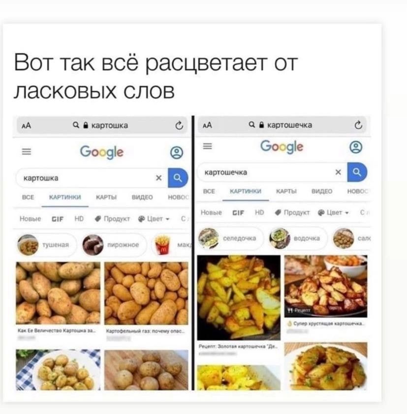 Вот так всё расцветает от ласковых слов п _ о А и