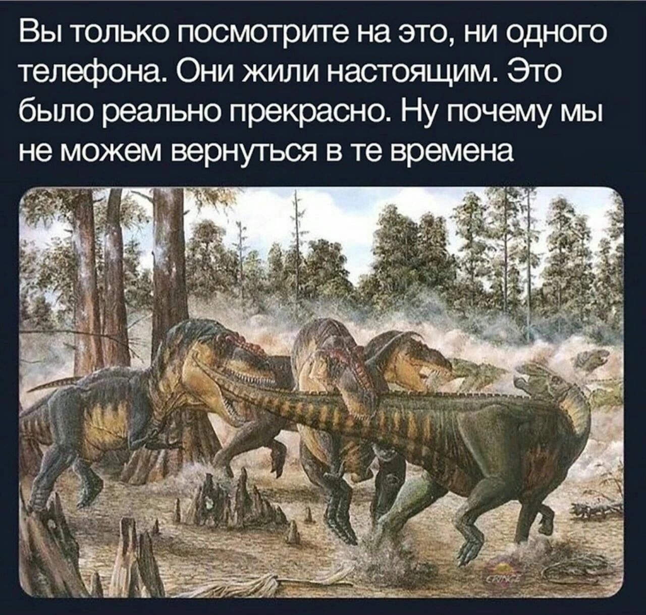 Вы только посмотрите на это ни одного телефона Они жили настоящим Это было реально прекрасно Ну почему мы не можем вернуться В те времена