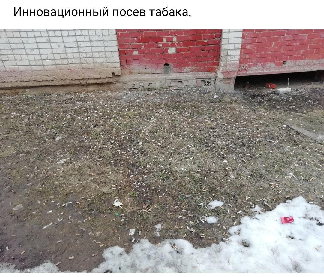 Инновационный посев табака
