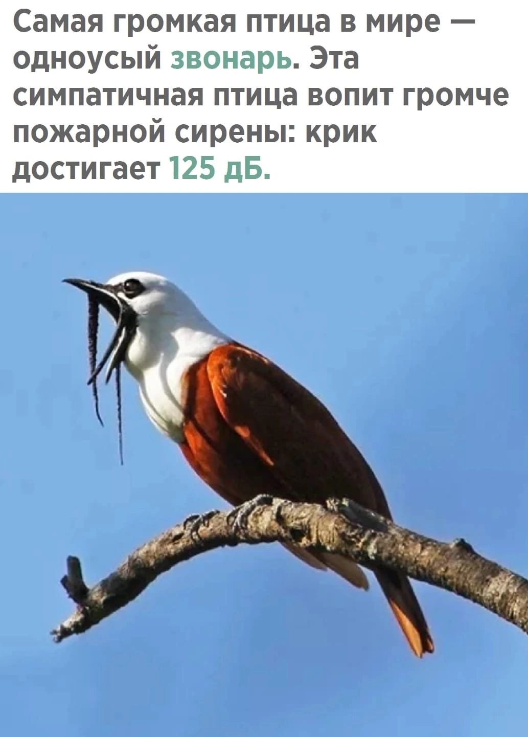 ПН эапнарь _