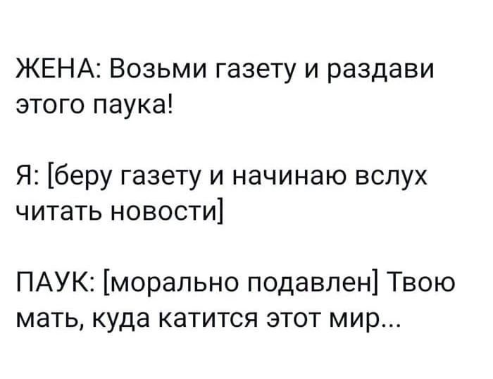 ЖЕНА Возьми газету и раздави этого паука Я беру газету и начинаю вспух ЧИТЭТЬ НОВОСТИ ПАУК морально подавлен Твою мать куда катится этот мир