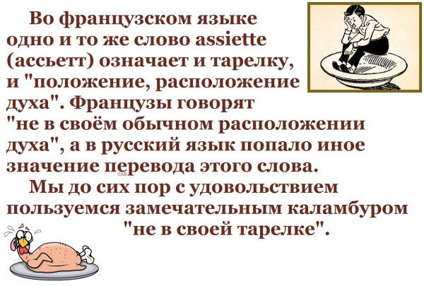 Во французском языке одно и то же слово аззіепе ассьеп означает и тарелку и положение расположение духа Французы говорят не в своём обычном расположении духа в в русский язык попало иное значение перевода этого слова Мы до сих пор с удовольствием пользуемся замечатыьным каламбуром не в своей тарелке
