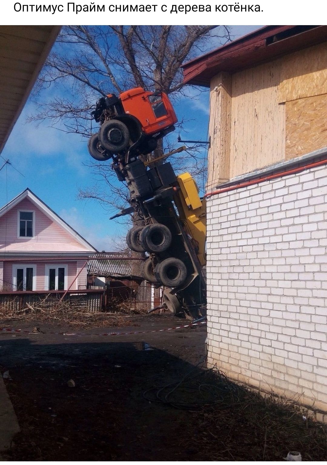 Оптиму Пр чм ним рева котенк