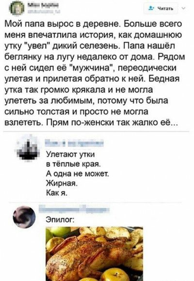 выч Мой папа вырос в деревне Больше всего меня впечатлила история как домашнюю утку увел дикий сепеэень Папа нашёл беглякку на лугу недалеко от дома Рядом с ней сидел её мужчина переодически упетая и прилетал обратно к ней Бедная утка так громко крякапа и не могла улететь за любимым потому что была сильно толстая и просто не могла взлететь Прям по женски так жалко её _ Улетают утки в тёплые края А