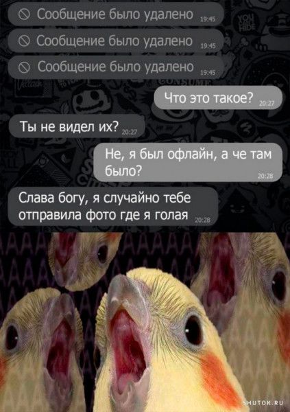Сообщение было удалено Сообщение было удалено Сообщение было удалено Ты не виден их Овнабогумшиайютебе отправилафоюгдеяшпая