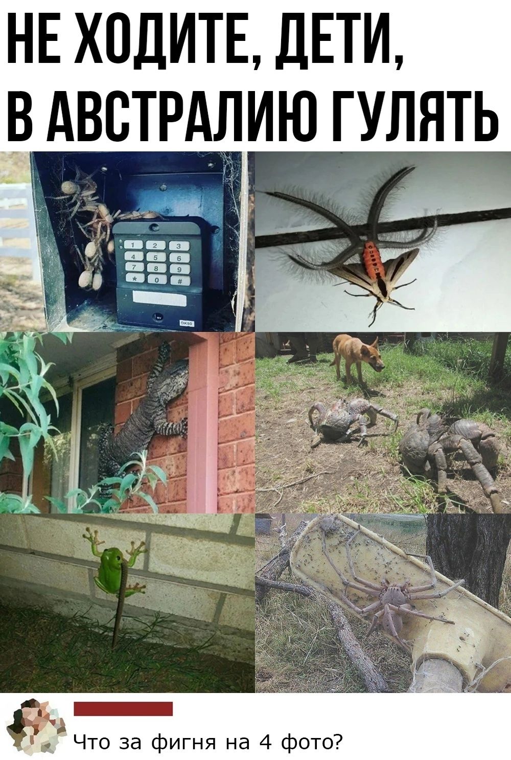 НЕ ХОДИТЕ ДЕТИ В АВСТРЛИЮ ГУЛЯТЬ