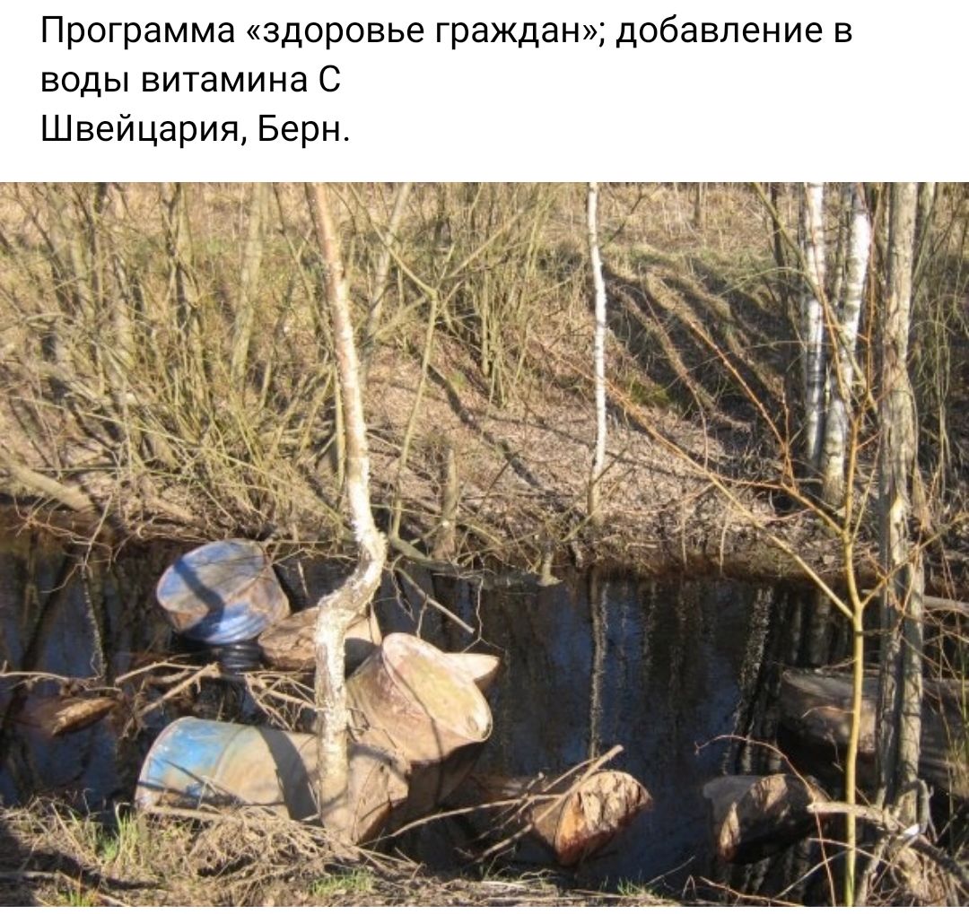 Программа здоровье граждан добавление в воды витамина С Щвейцария Берн