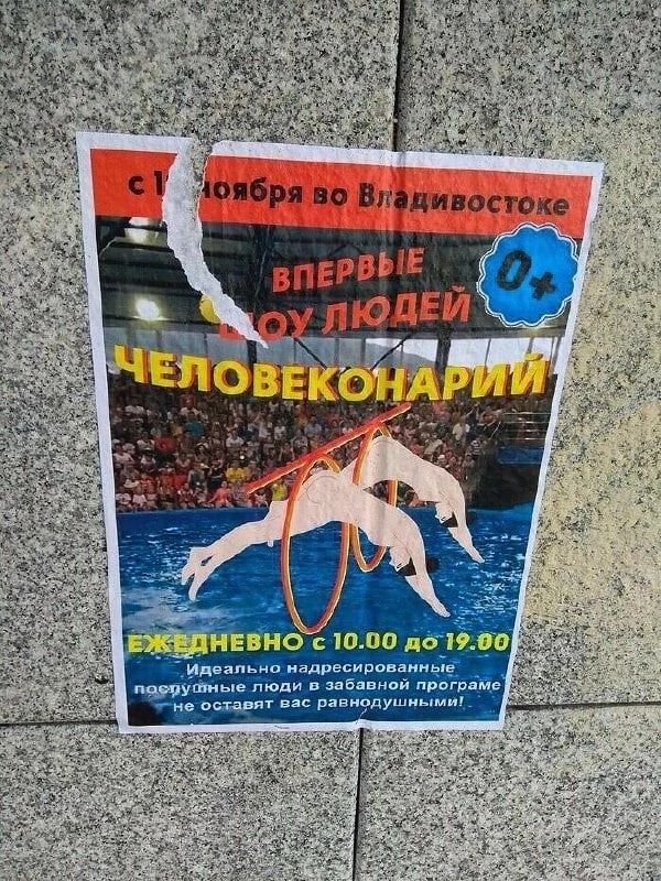 Идеатьно надресированные порругтные люди в забавной програме че оставят вас равнодушными