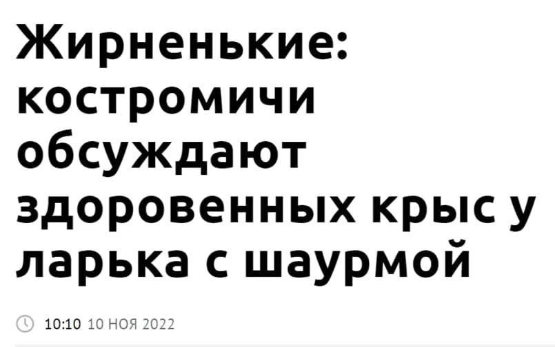 Жирненькие костромичи обсуждают здоровенных крыс у ларька с шаурмой ю ш
