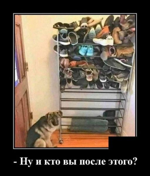 Ну и кто вы после этого